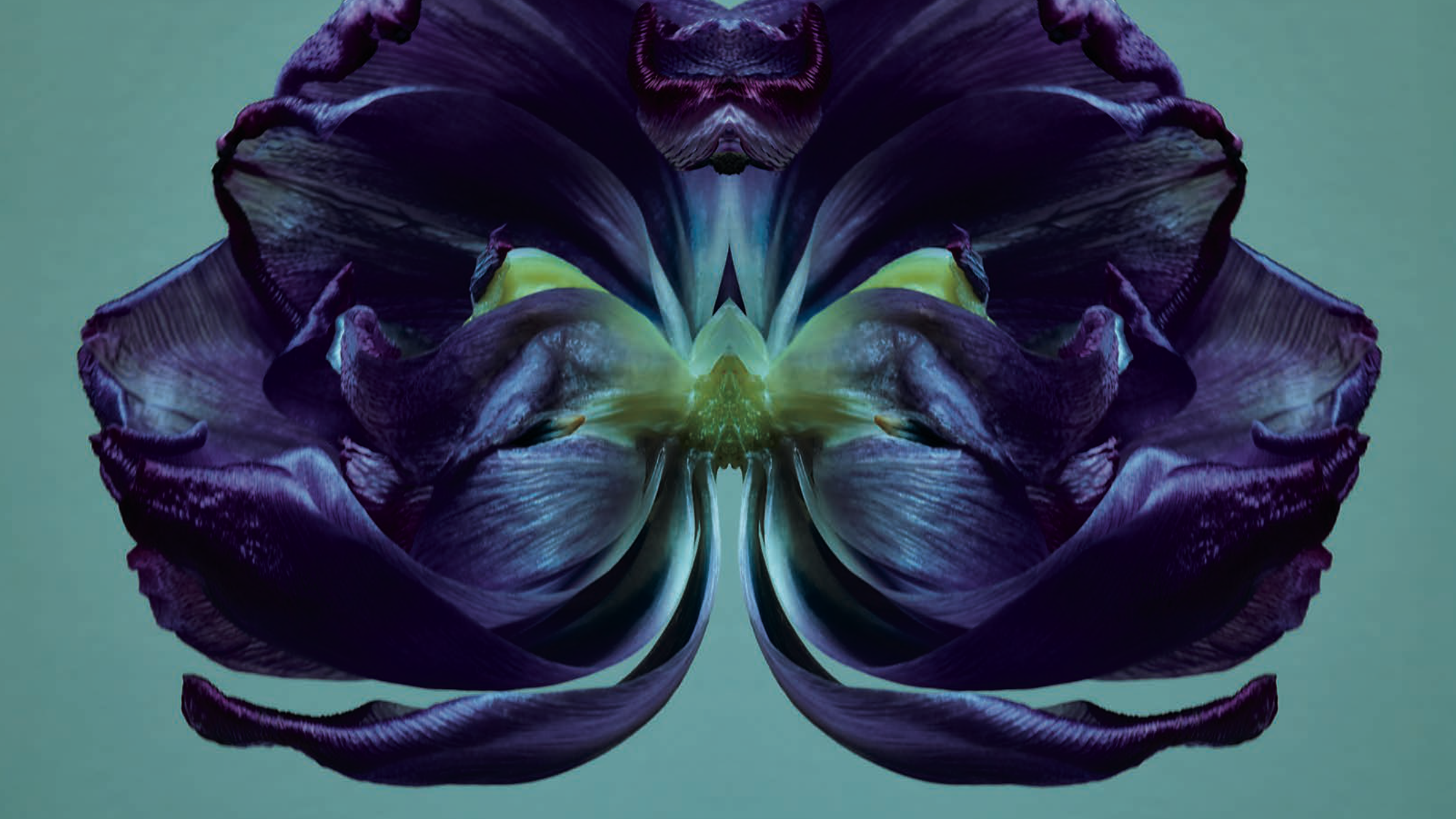 Virágokkal foglalkozik Alexi Lubomirski, a divatfotós!