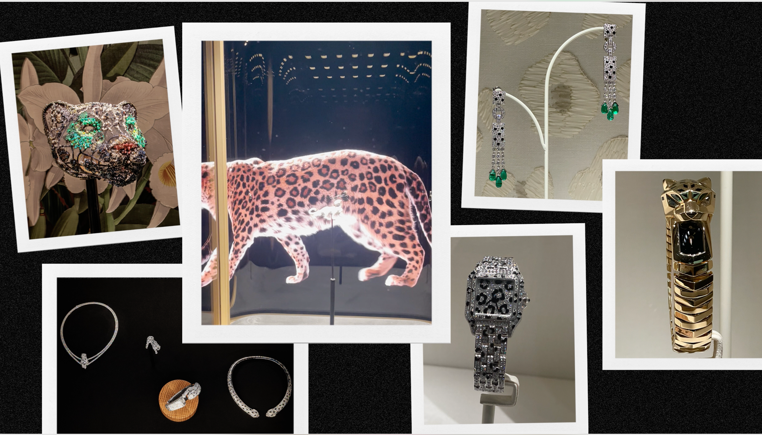 Cartier a vadonba hívja vendégeit a Miami Art Baselen!