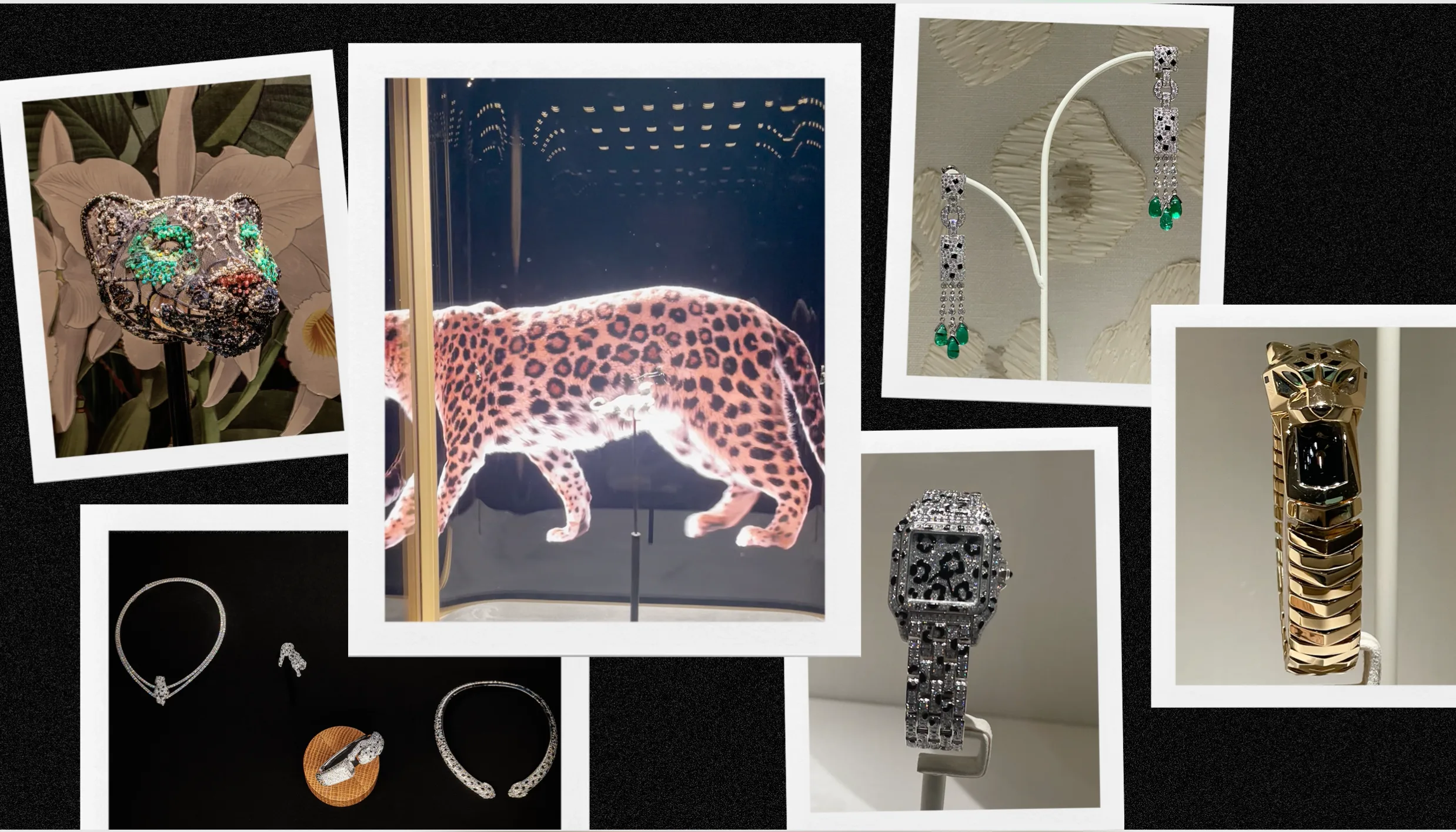 Cartier a vadonba hívja vendégeit a Miami Art Baselen!