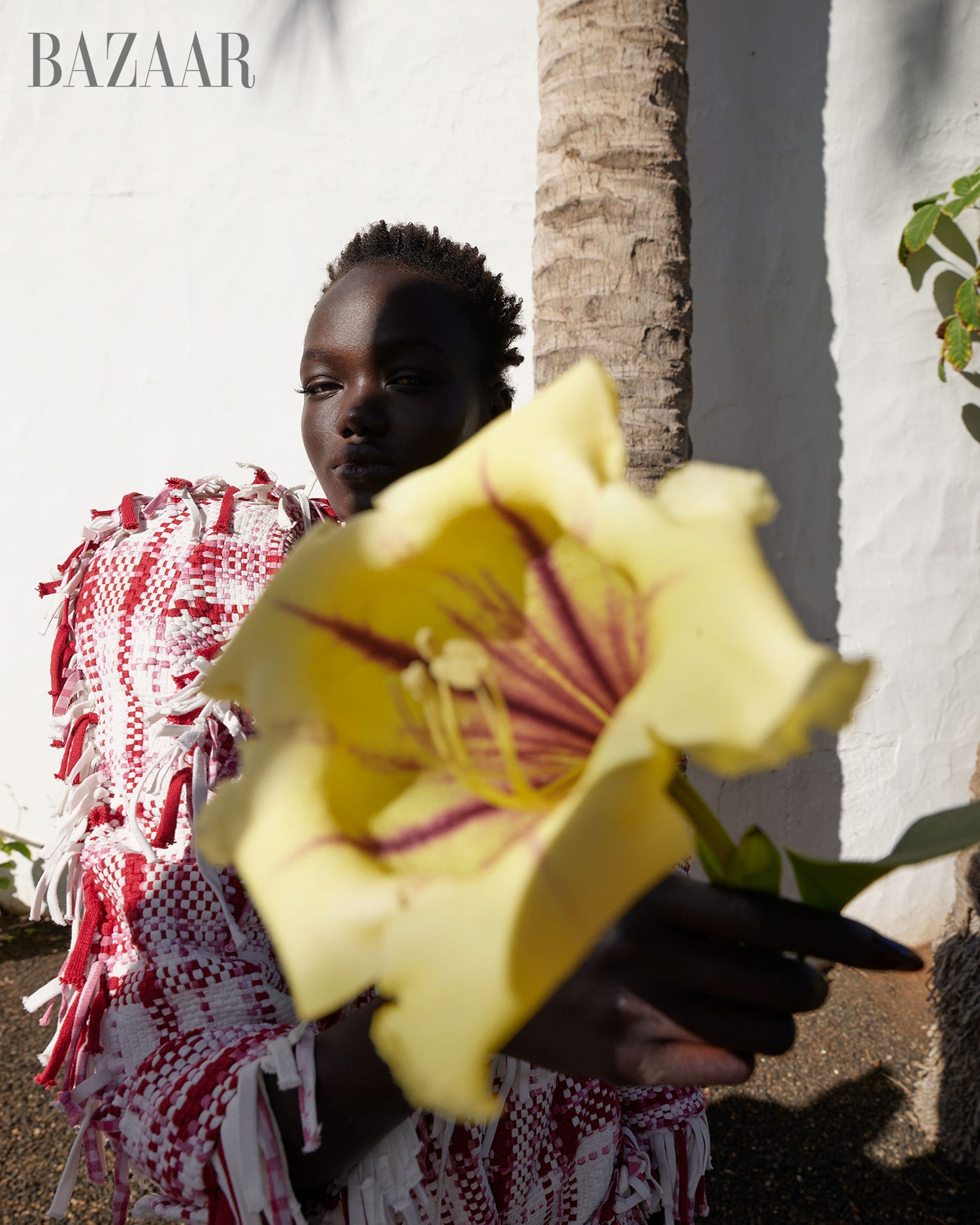Elementális Formák: Fedezd fel a lényegüket!