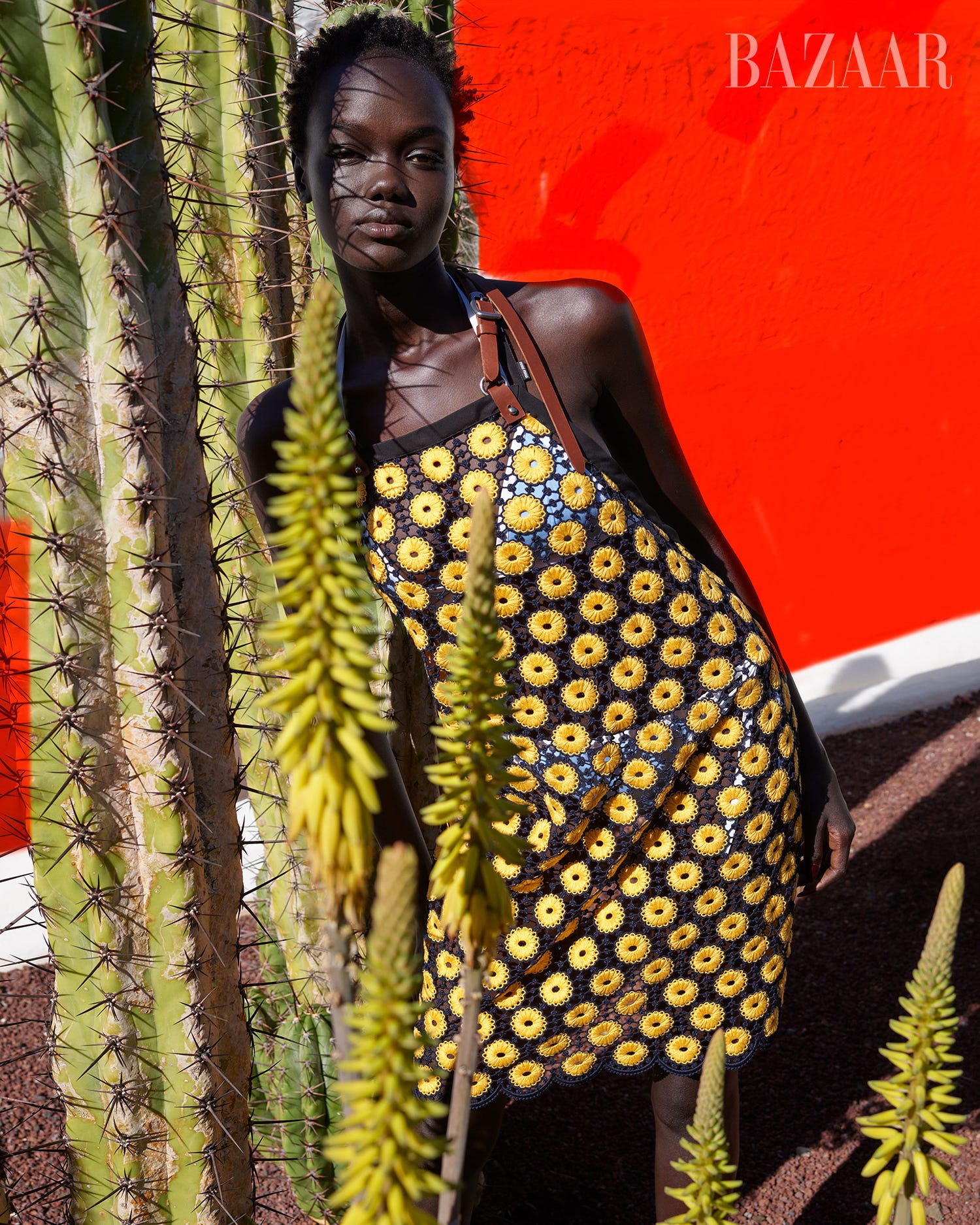 Elementális Formák: Fedezd fel a lényegüket!